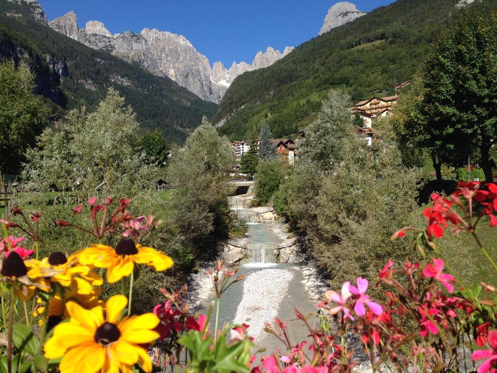 Villa Ginestra Molveno Cameră foto